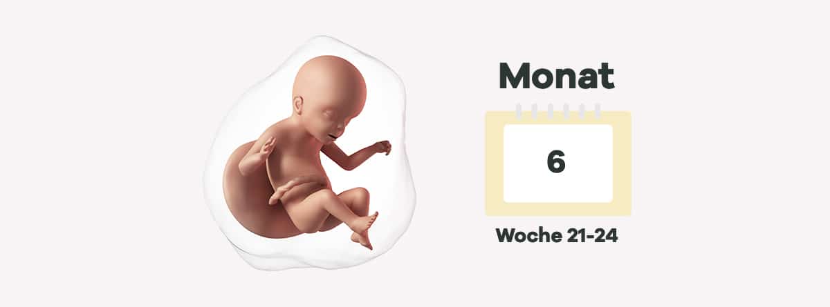 6 Schwangerschaftsmonat Mutter Bauch Baby Im 6 Monat Windeln